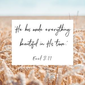 Meet your Posher, Trae